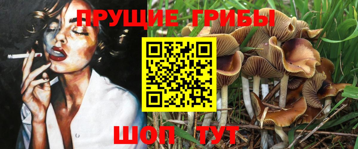 Галлюциногенные грибы прущие грибы Орск